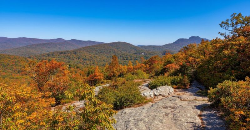 Flat Rock, NC
