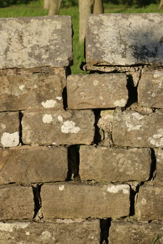 Stone Wall Repair in Saluda, NC